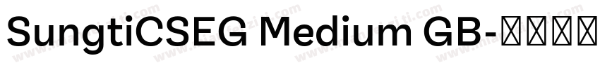 SungtiCSEG Medium GB字体转换